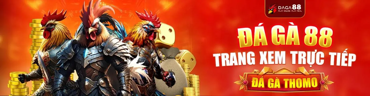Đá gà trực tuyến 79king78 với những trận đấu kịch tính và tỷ lệ cược hấp dẫn